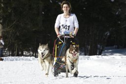 Kandersteg 2009 EM