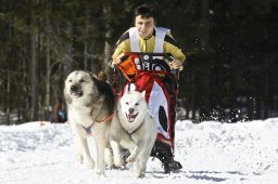 Kandersteg 2009 EM