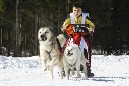 Kandersteg 2009 EM