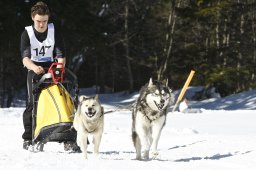 Kandersteg 2009 EM