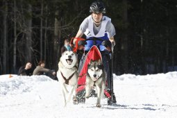 Kandersteg 2009 EM