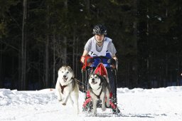 Kandersteg 2009 EM