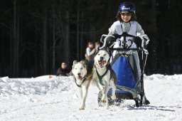 Kandersteg 2009 EM