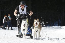 Kandersteg 2009 EM