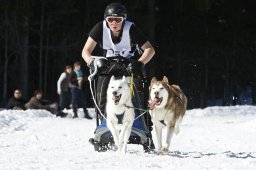 Kandersteg 2009 EM