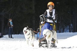 Kandersteg 2009 EM