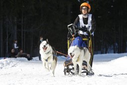 Kandersteg 2009 EM