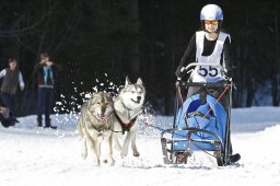 Kandersteg 2009 EM