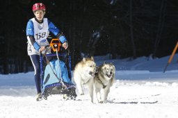 Kandersteg 2009 EM