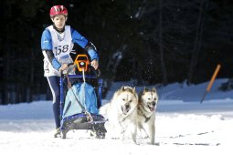 Kandersteg 2009 EM