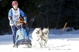 Kandersteg 2009 EM