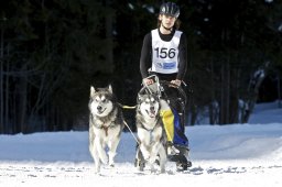 Kandersteg 2009 EM