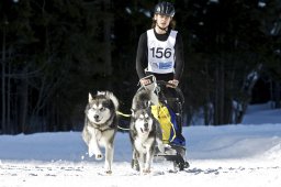 Kandersteg 2009 EM