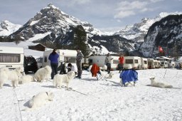 Kandersteg 2009 EM