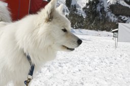 Kandersteg 2009 EM