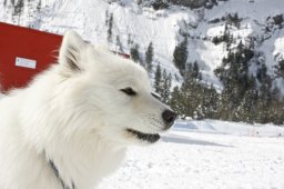 Kandersteg 2009 EM