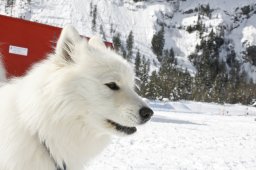 Kandersteg 2009 EM