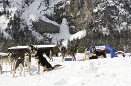 Kandersteg 2009 EM