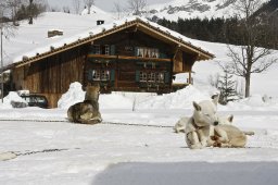 Kandersteg 2009 EM