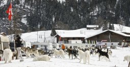 Kandersteg 2009 EM