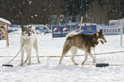 Kandersteg 2009 EM
