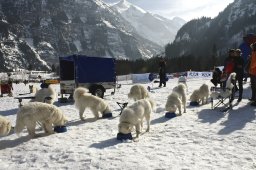Kandersteg 2009 EM