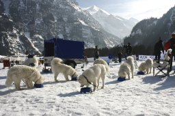 Kandersteg 2009 EM