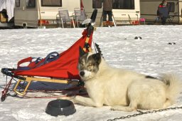 Kandersteg 2009 EM