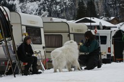 Kandersteg 2009 EM