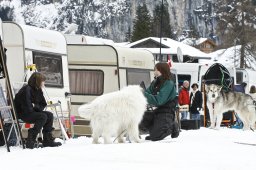 Kandersteg 2009 EM