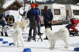 Kandersteg 2009 EM