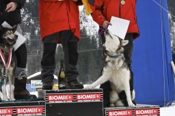 Kandersteg 2009 EM
