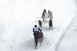 Kandersteg 2009 EM