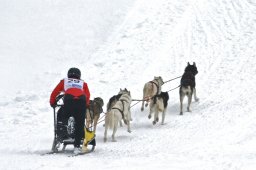 Kandersteg 2009 EM