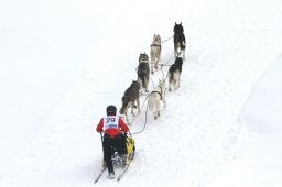 Kandersteg 2009 EM