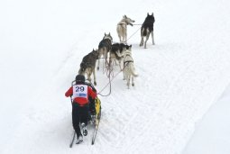 Kandersteg 2009 EM