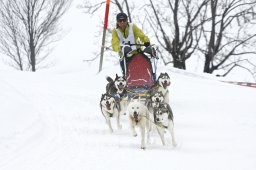 Kandersteg 2009 EM