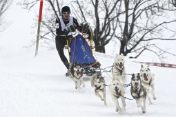 Kandersteg 2009 EM
