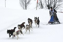 Kandersteg 2009 EM