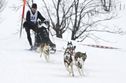 Kandersteg 2009 EM