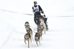 Kandersteg 2009 EM