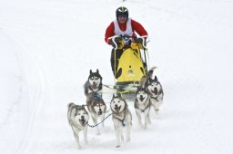 Kandersteg 2009 EM