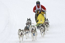 Kandersteg 2009 EM
