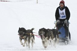 Kandersteg 2009 EM