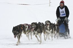 Kandersteg 2009 EM