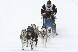 Kandersteg 2009 EM