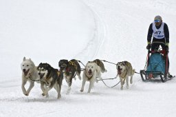 Kandersteg 2009 EM