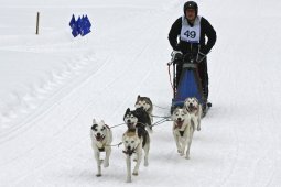 Kandersteg 2009 EM