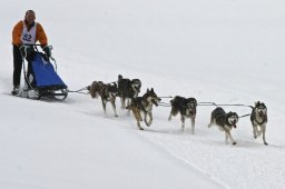 Kandersteg 2009 EM