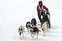 Kandersteg 2009 EM